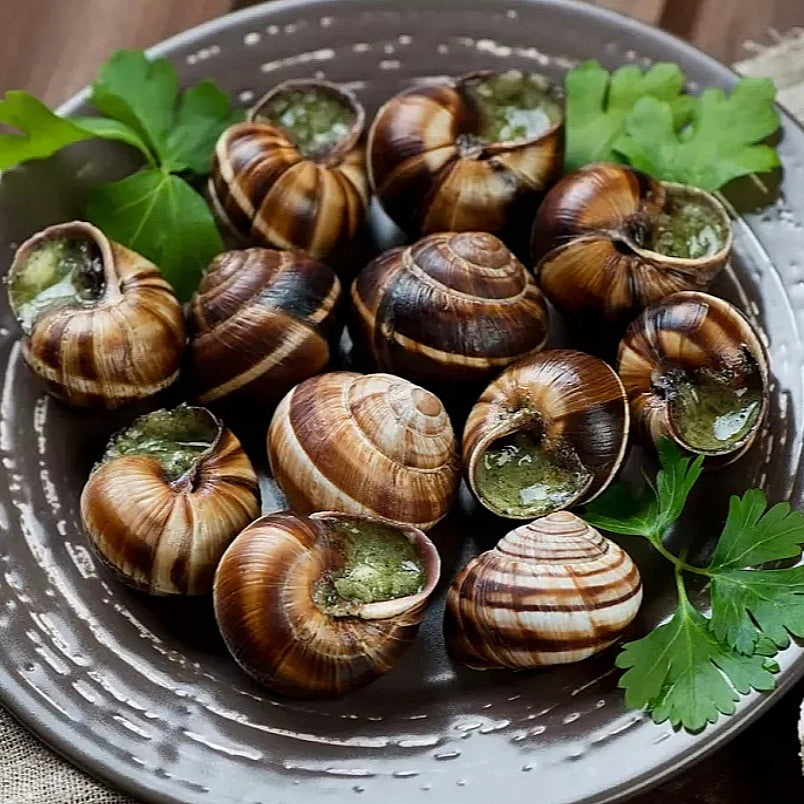 12 Escargots de Bourgogne